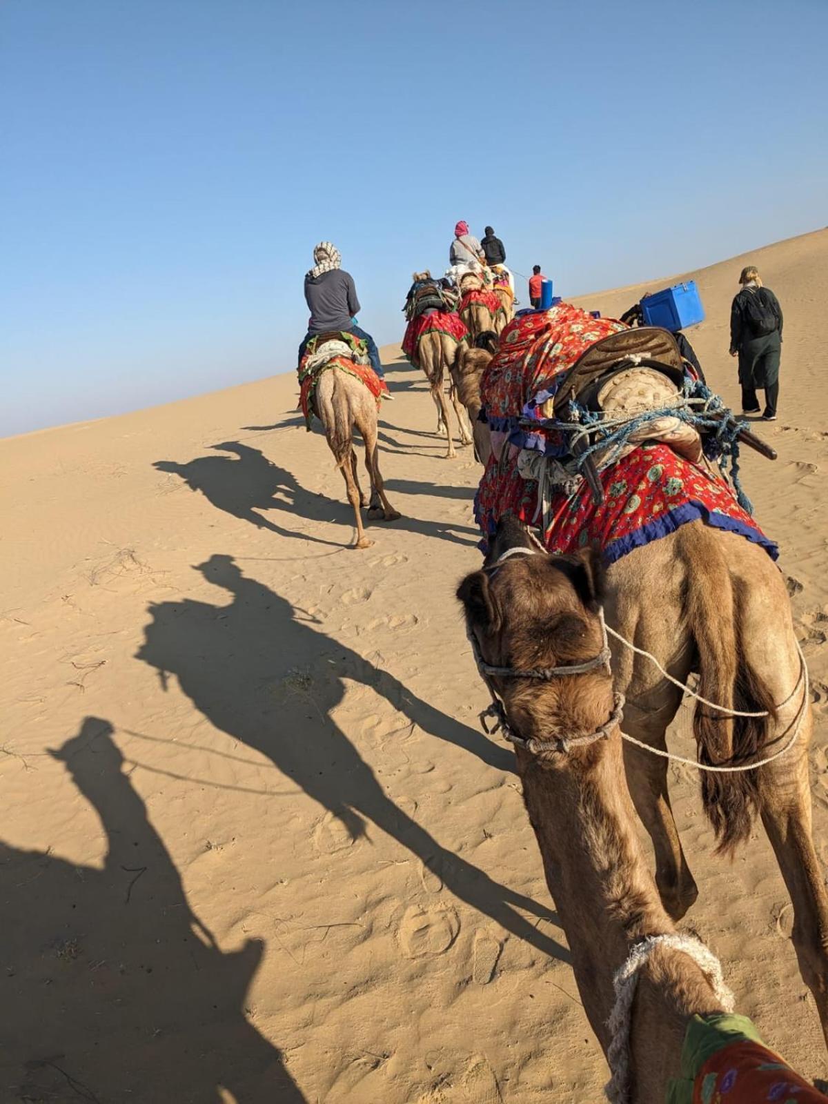 Hostel Marigold Home Stay Jaisalmer Ngoại thất bức ảnh